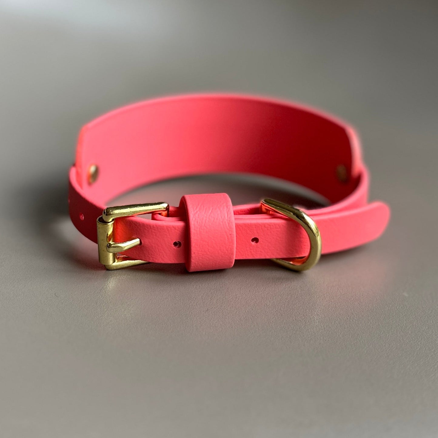 BioThane® Hound Style Collar