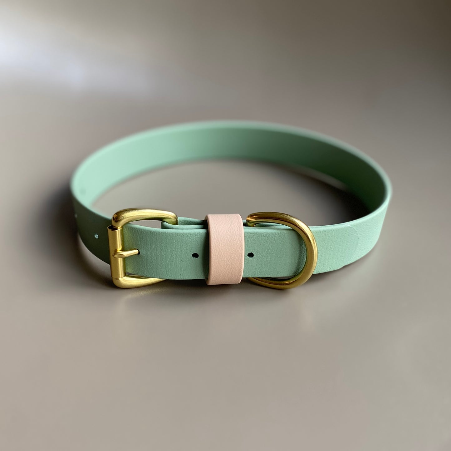 Reggie Colourblock BioThane® Collar