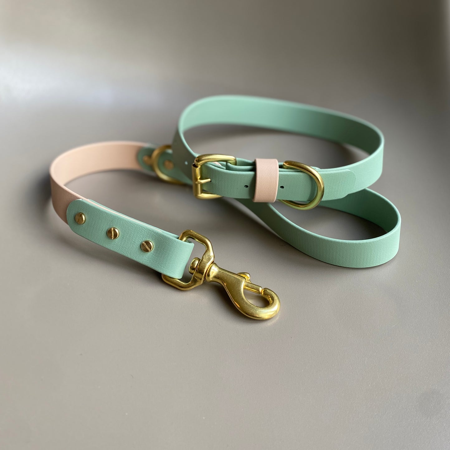 Reggie Colourblock BioThane® Collar