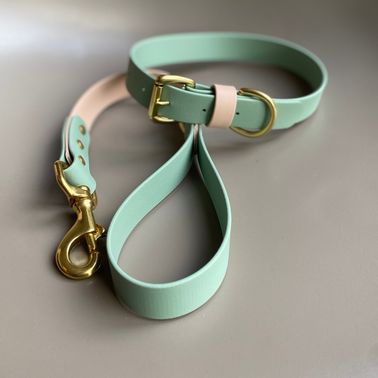 Reggie Colourblock BioThane® Collar