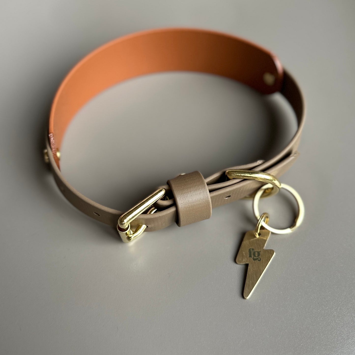 Gunner BioThane® Hound Style Collar