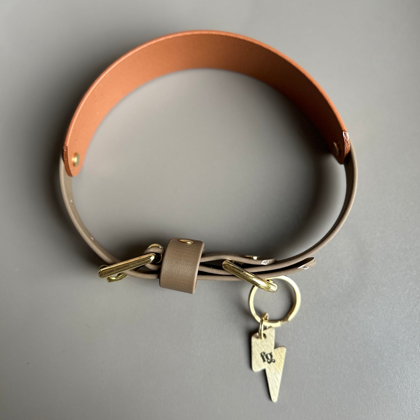 Gunner BioThane® Hound Style Collar