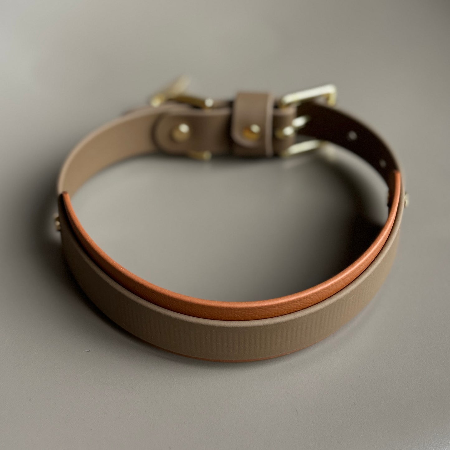 Gunner BioThane® Hound Style Collar