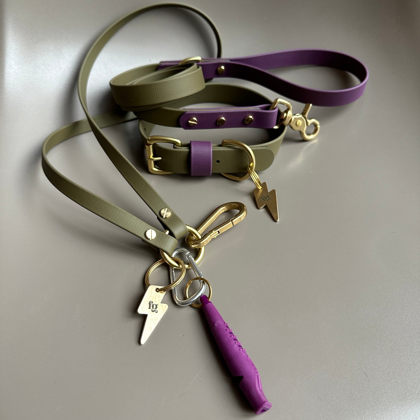 Dallas Colourblock BioThane® Lead