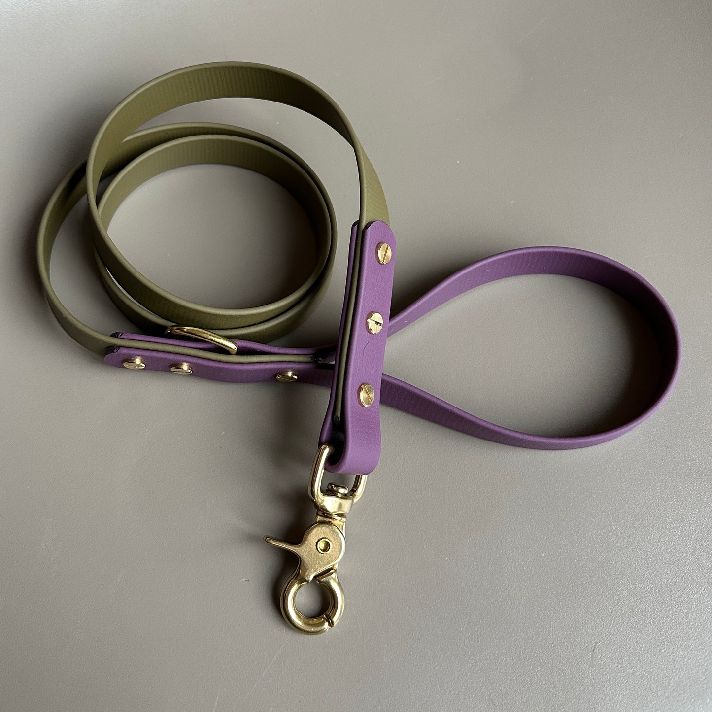 Dallas Colourblock BioThane® Lead