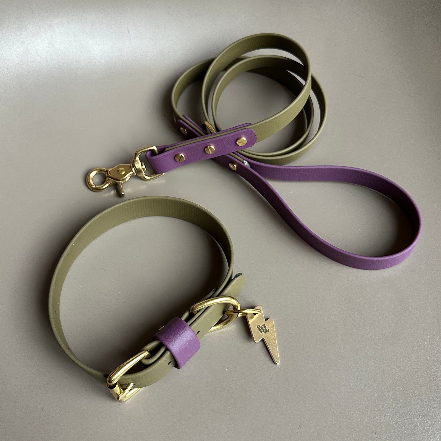 Dallas Colourblock BioThane® Lead