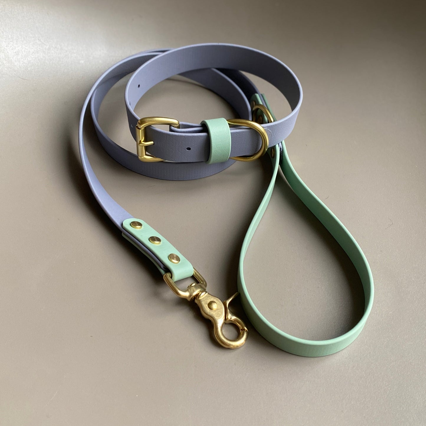 Yogi Colourblock BioThane® Collar