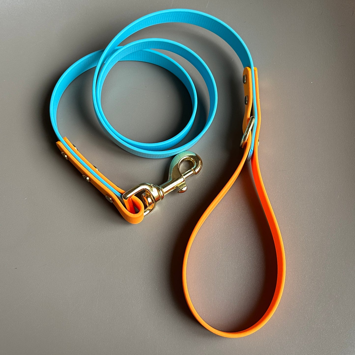 Hendrix Colourblock BioThane® Lead