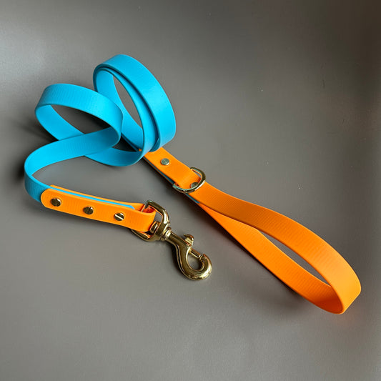 Hendrix Colourblock BioThane® Lead