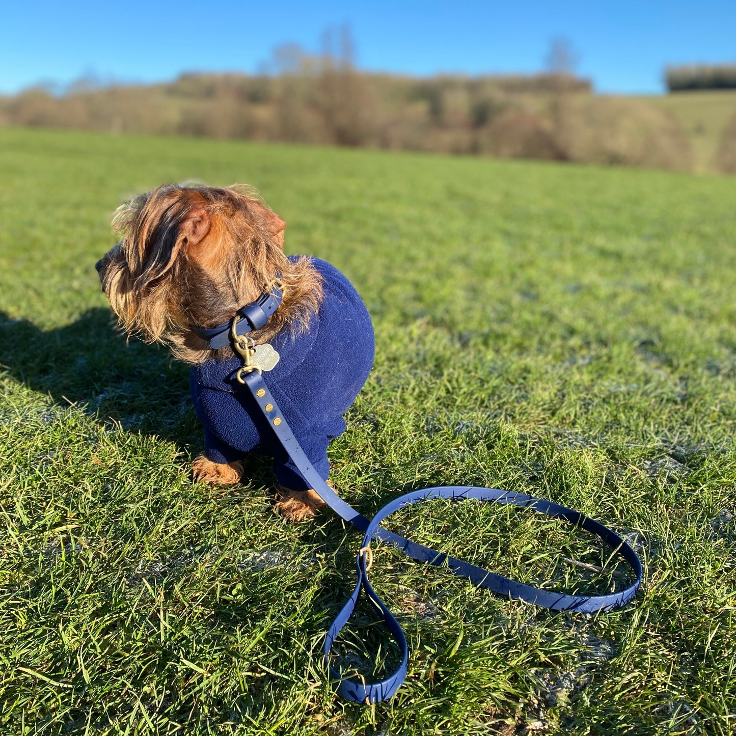 Cobalt Blue BioThane® Collar