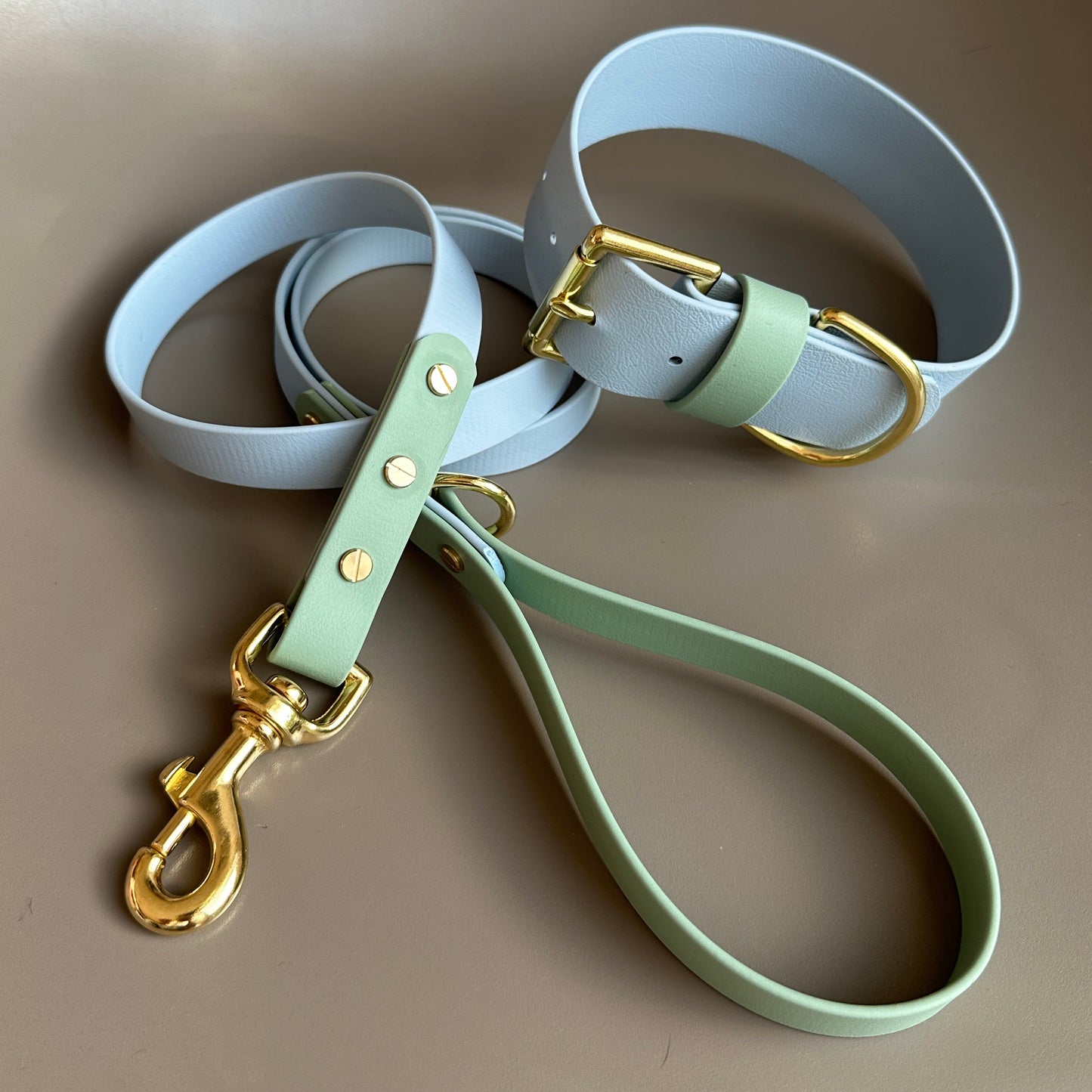 Lennie Colourblock BioThane® Lead
