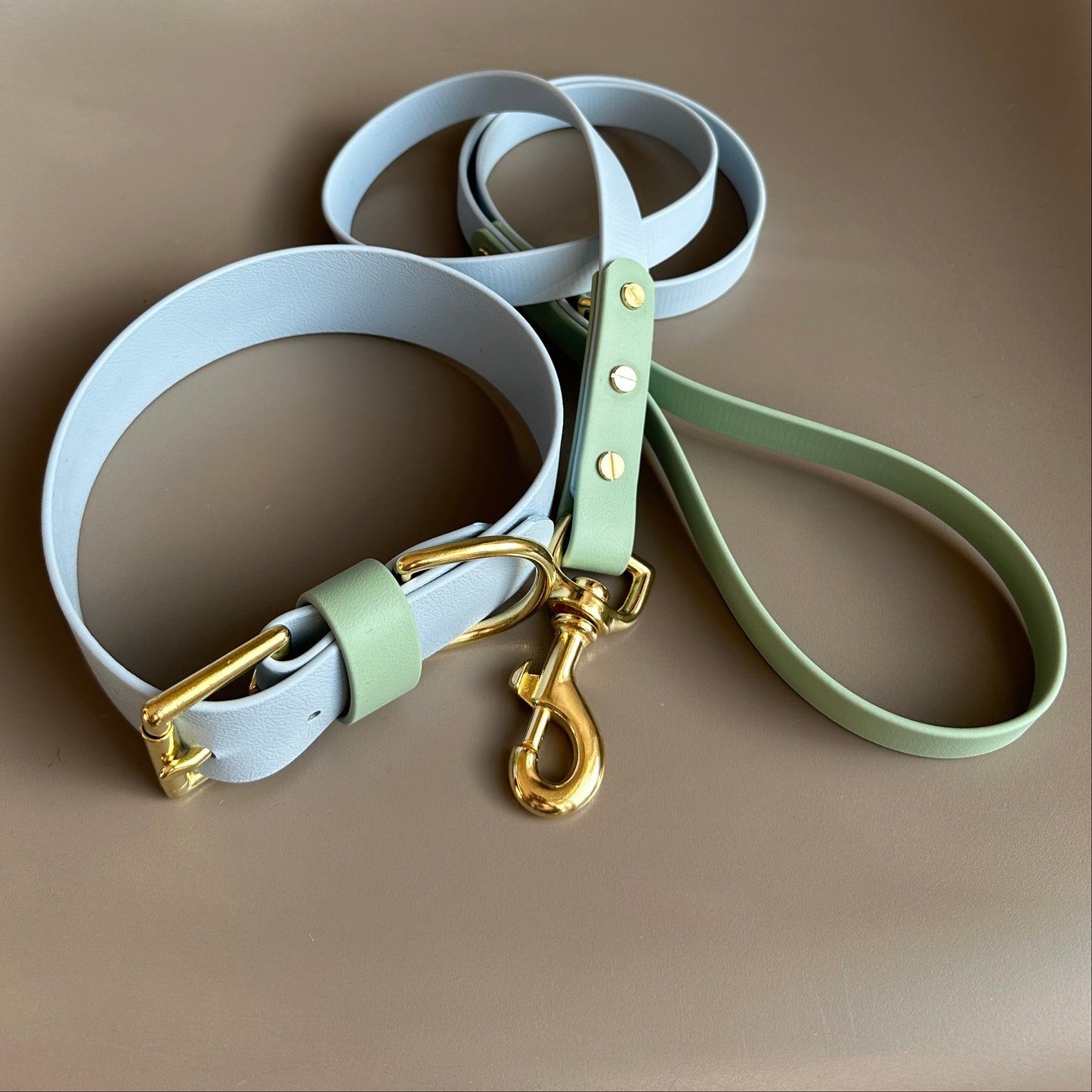 Lennie Colourblock BioThane® Lead