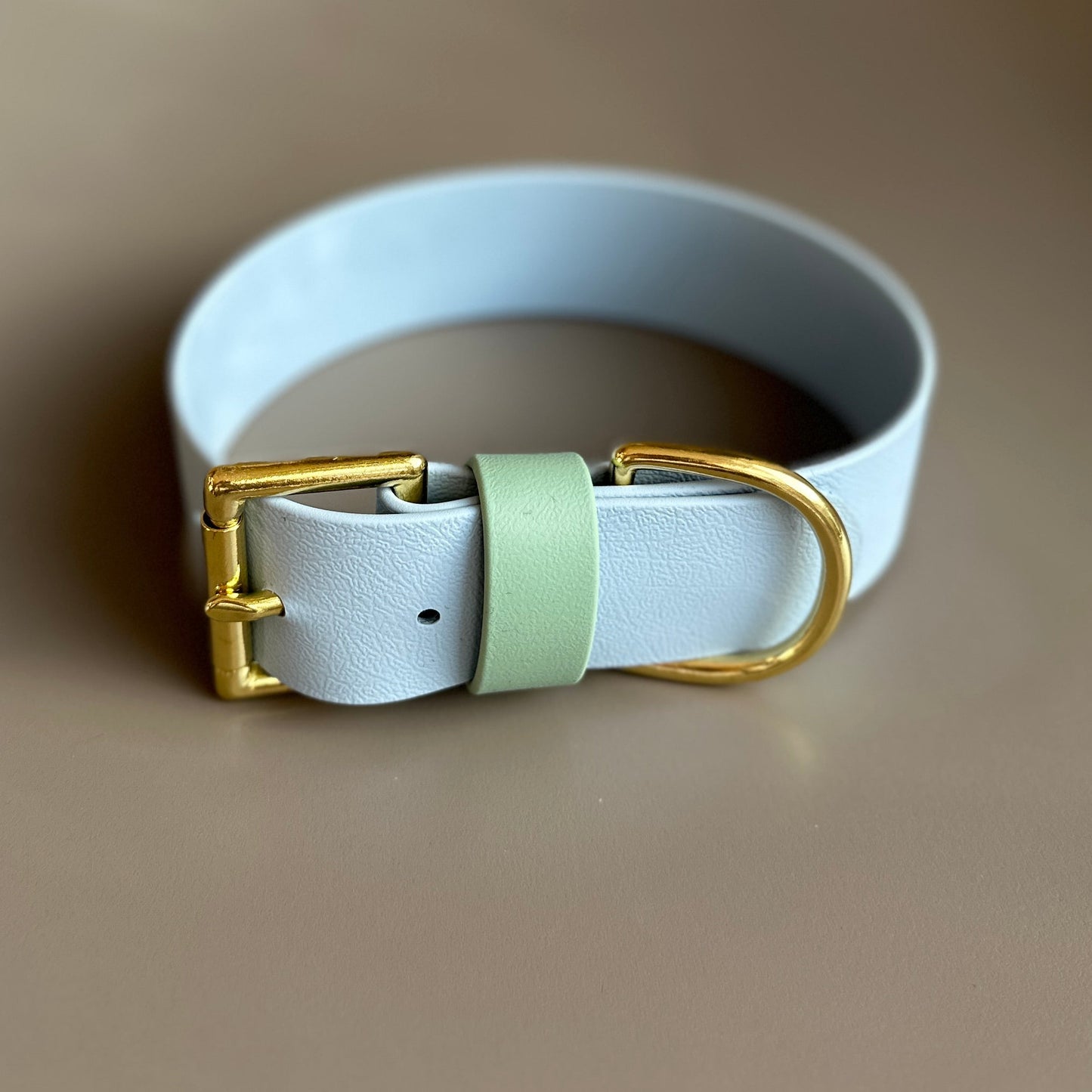 Lennie Wide 38mm BioThane® Collar