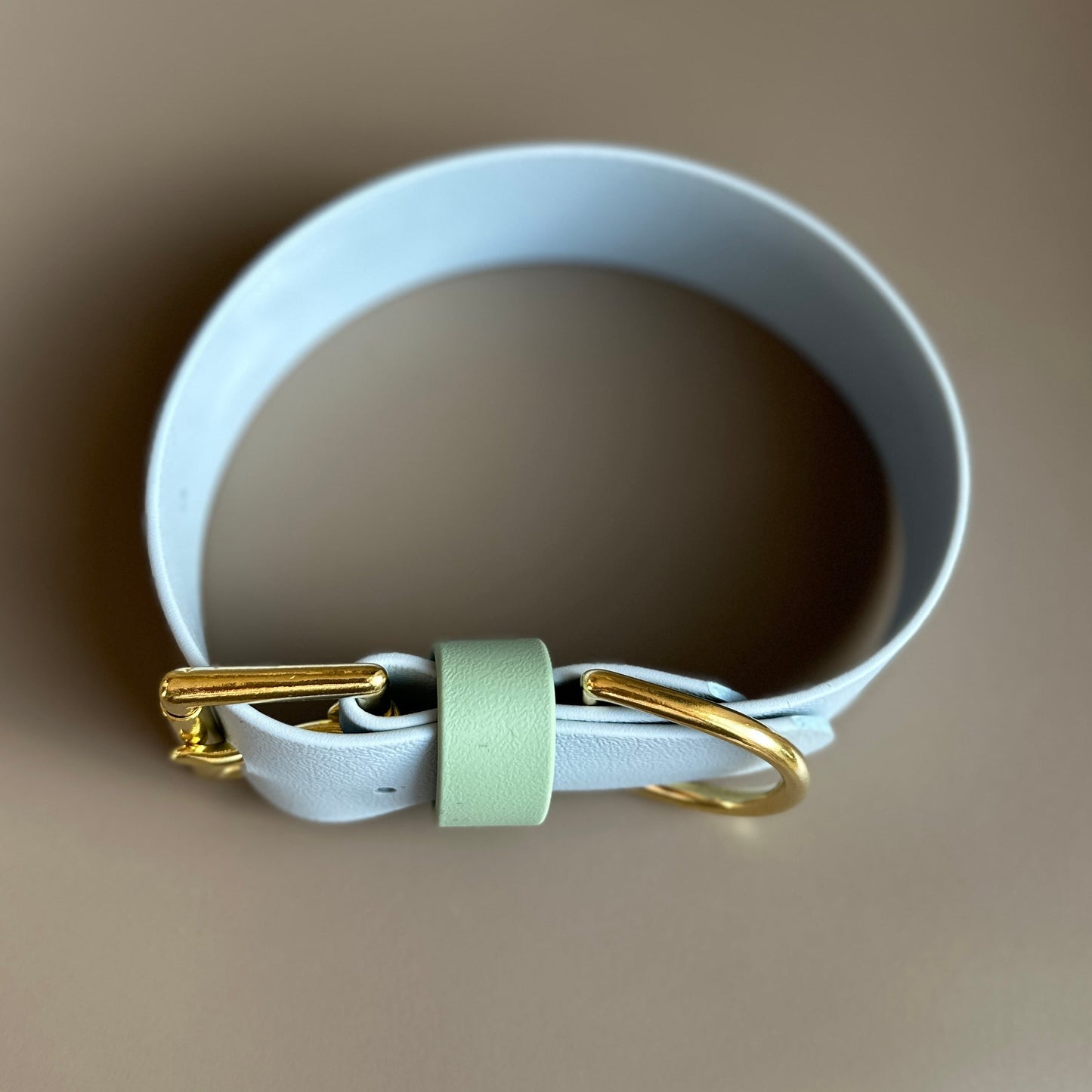 Lennie Wide 38mm BioThane® Collar