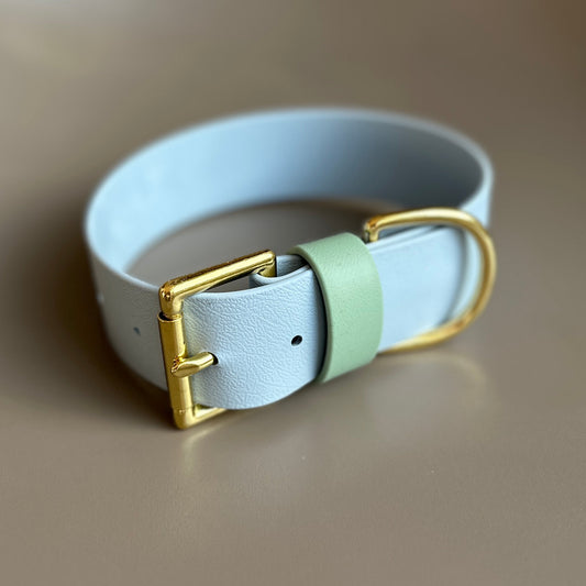 Lennie Wide 38mm BioThane® Collar