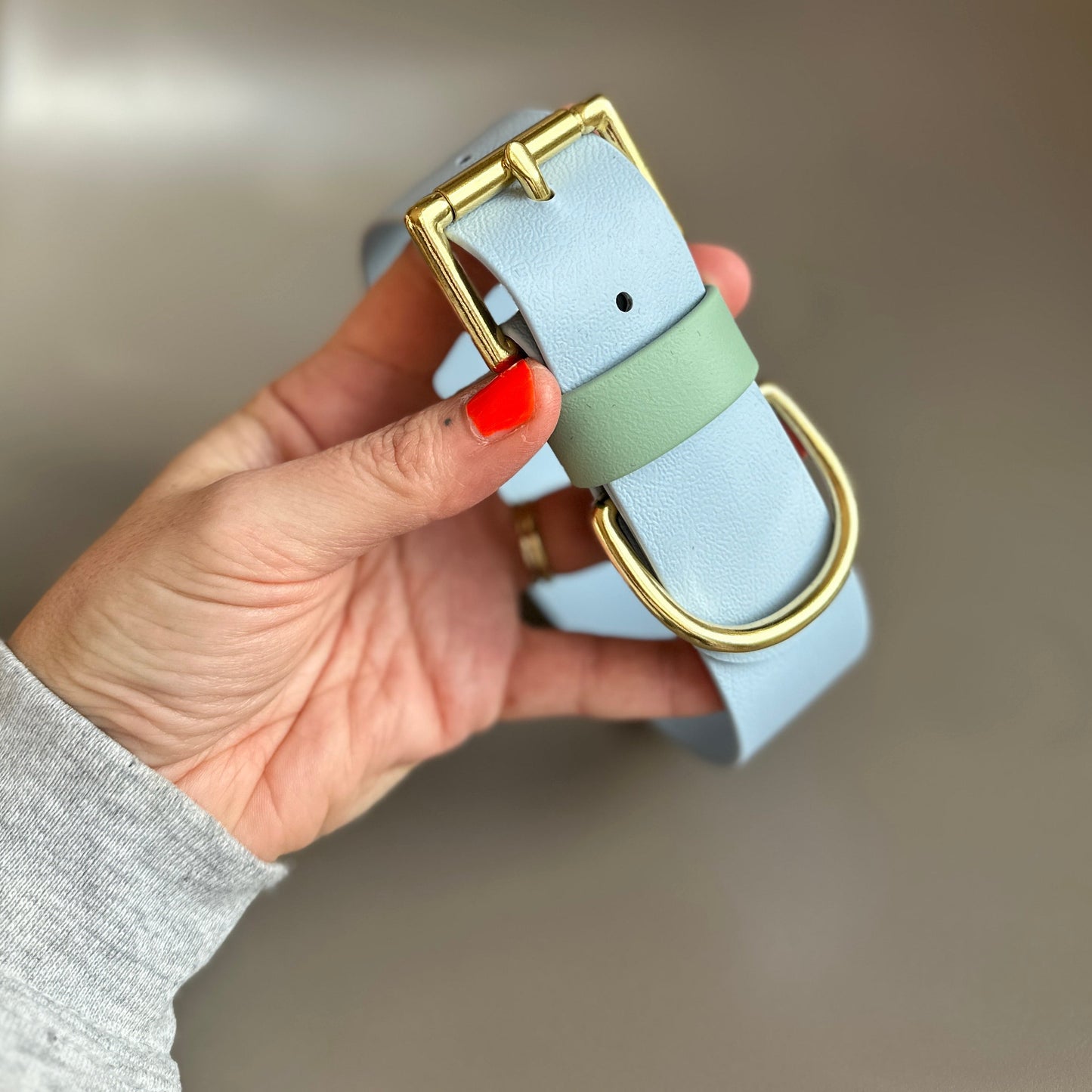 Lennie Wide 38mm BioThane® Collar