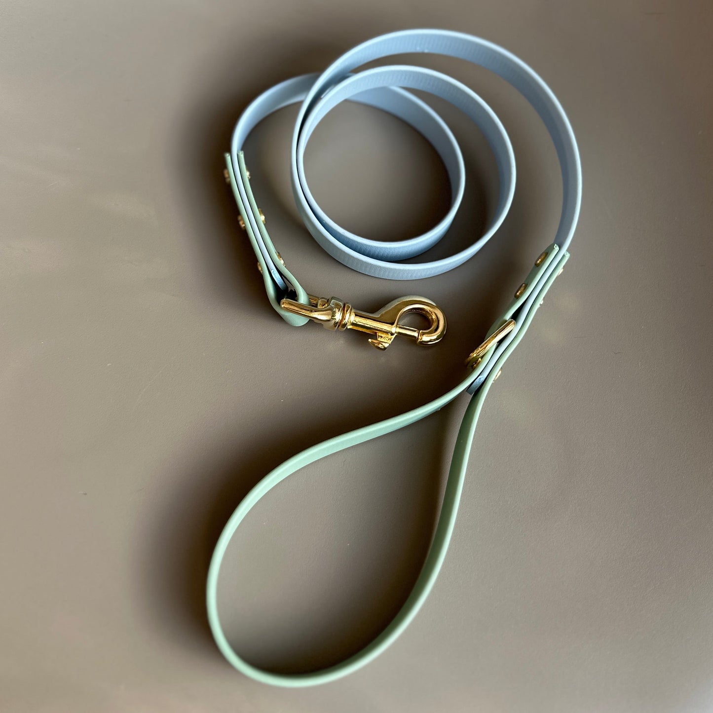 Lennie Colourblock BioThane® Lead