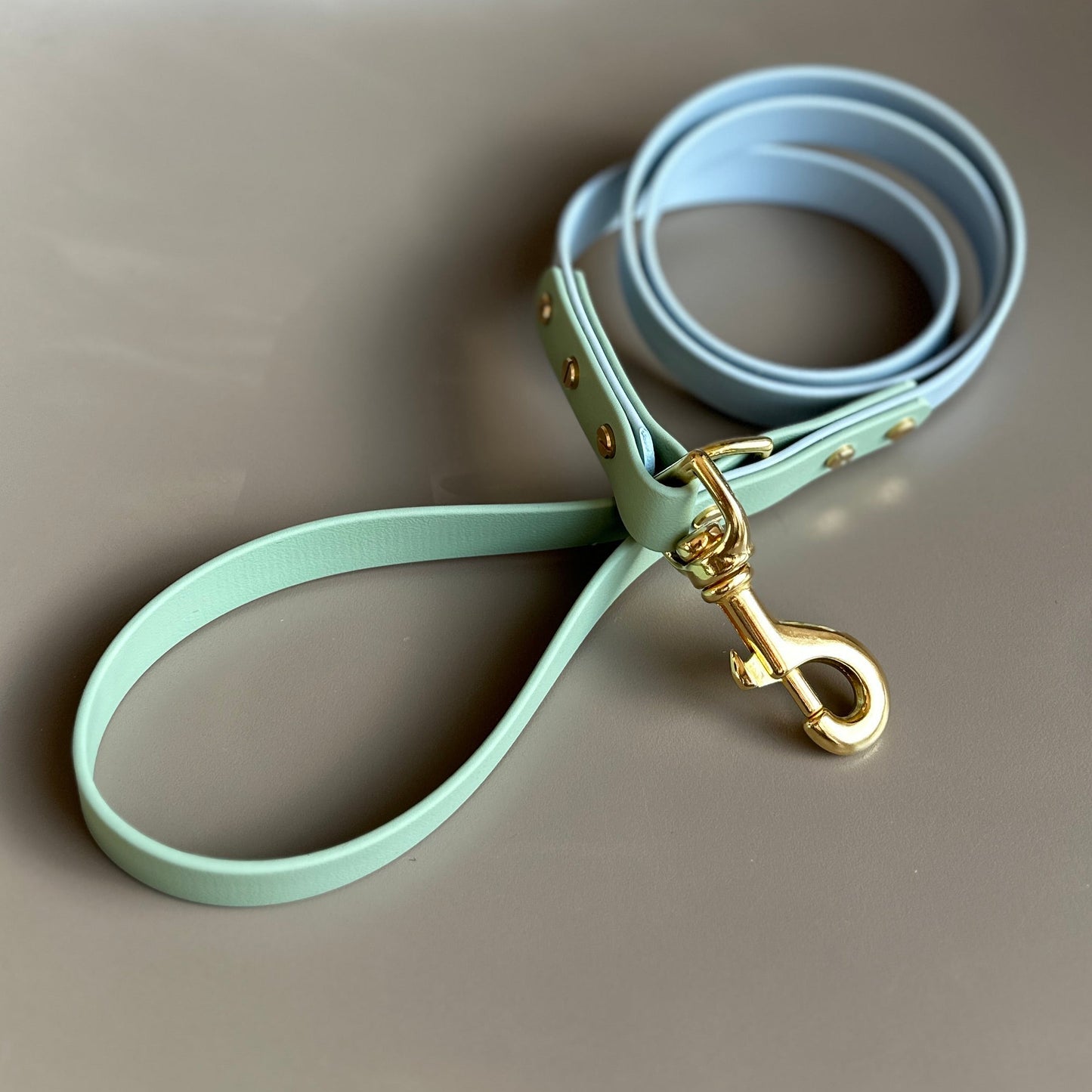 Lennie Colourblock BioThane® Lead