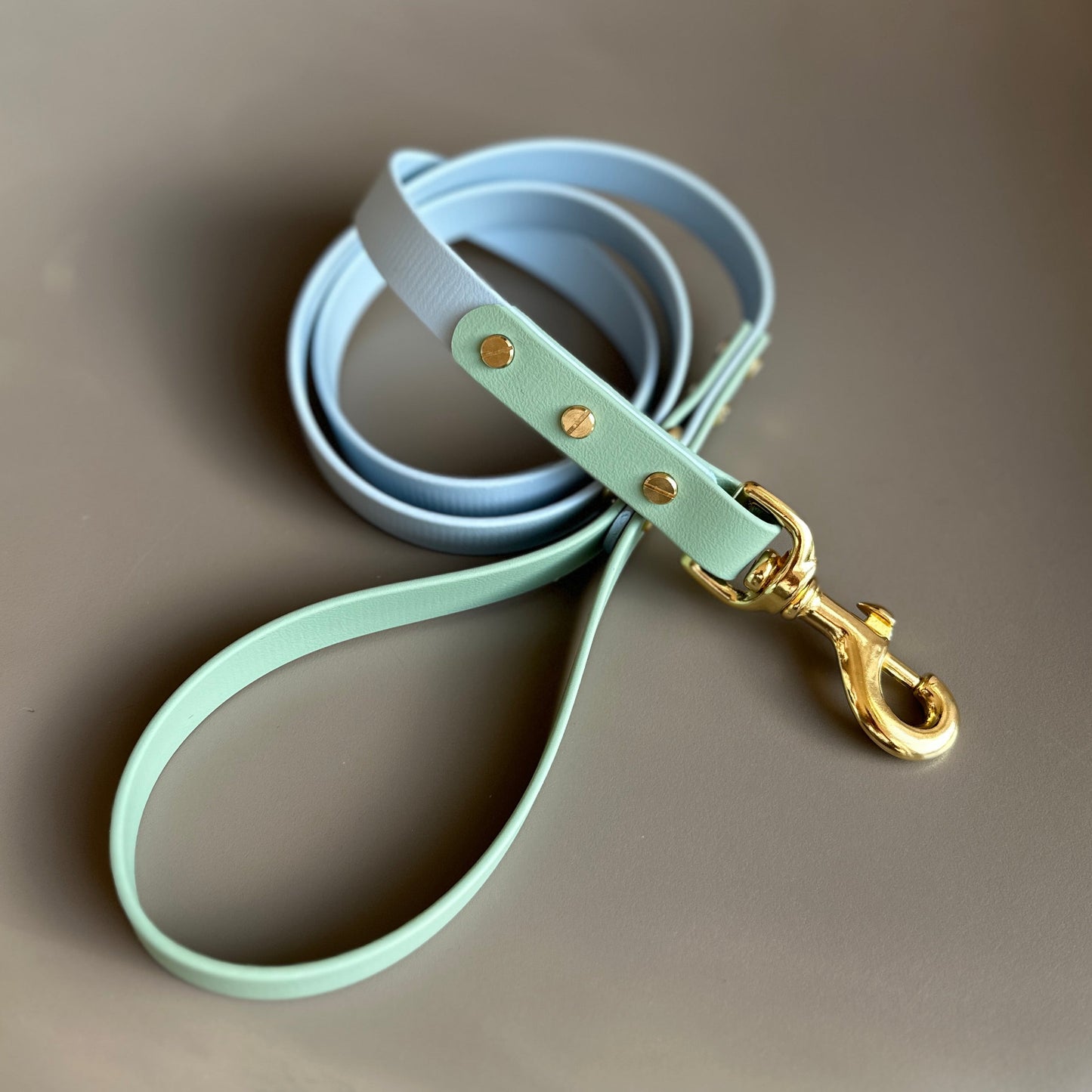Lennie Colourblock BioThane® Lead