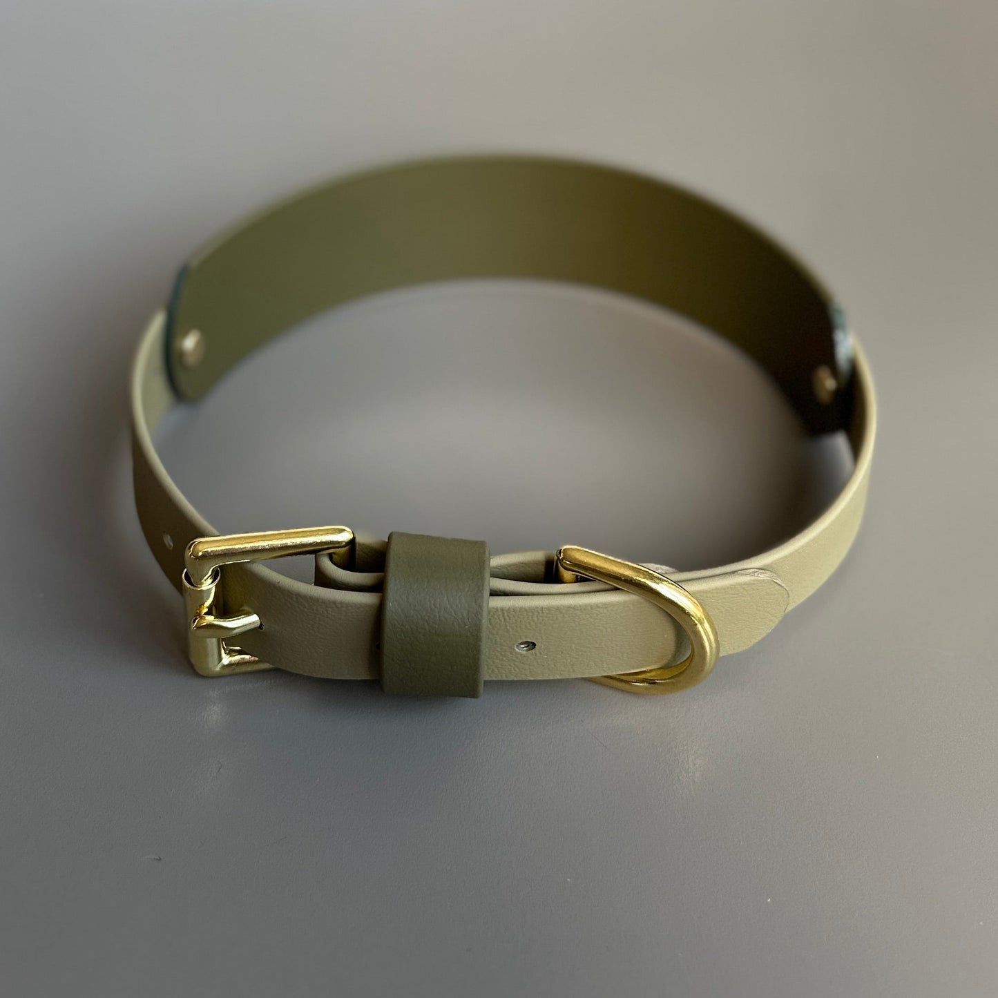 Bentley BioThane® Hound Style Collar