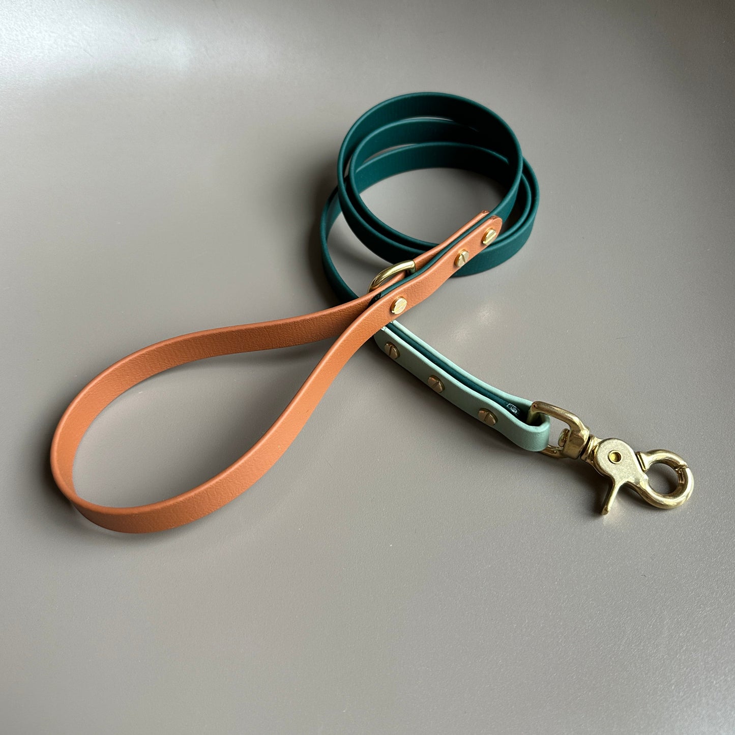 The Fred Colourblock BioThane® Lead