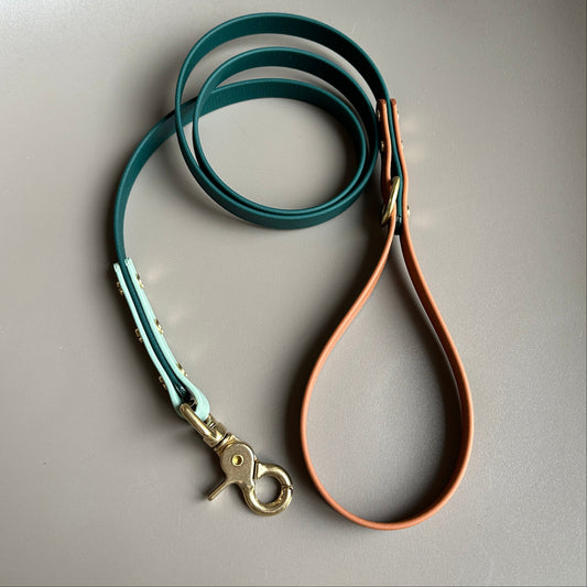 The Fred Colourblock BioThane® Lead