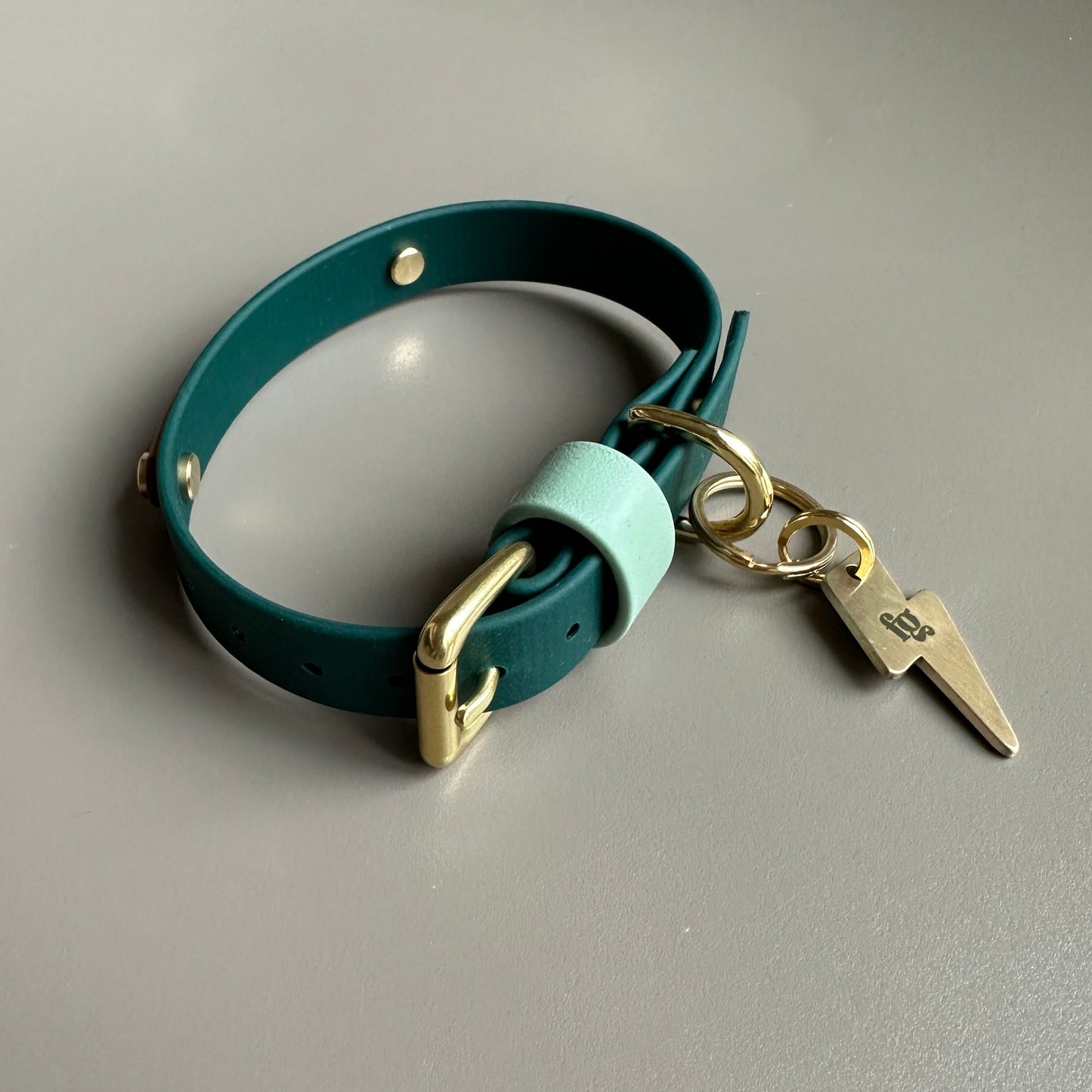 The Fred Colourband BioThane® Collar