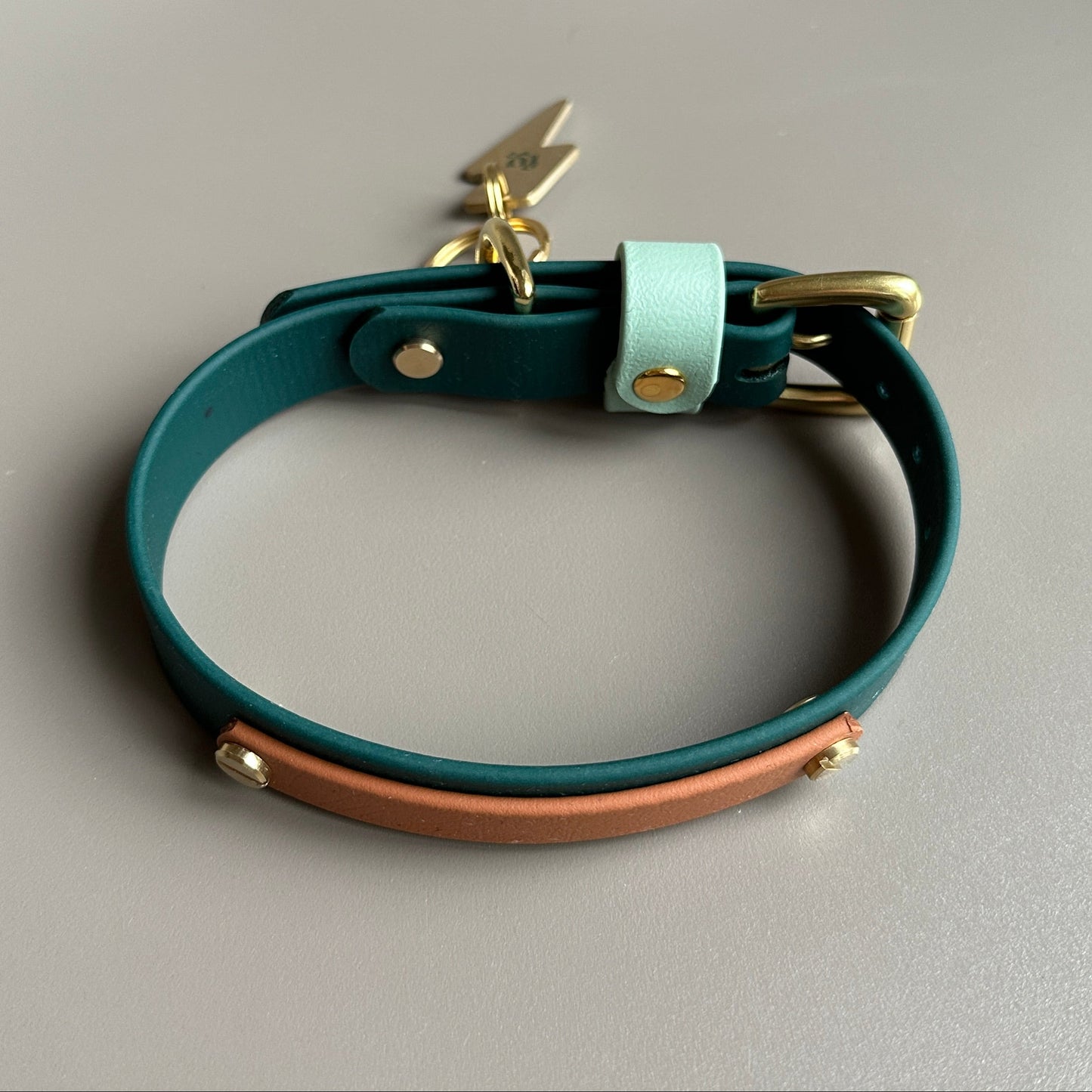 The Fred Colourband BioThane® Collar
