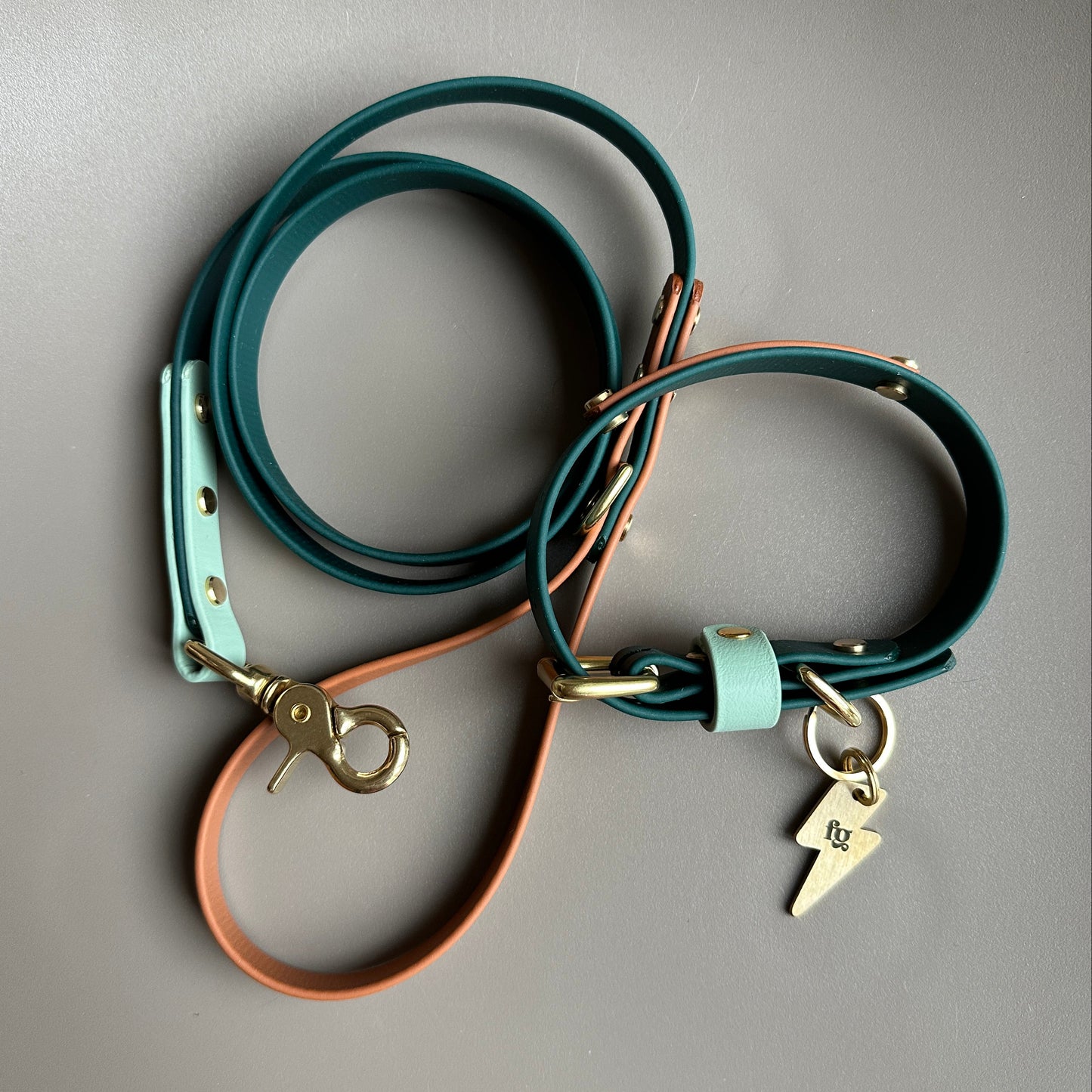 The Fred Colourblock BioThane® Lead