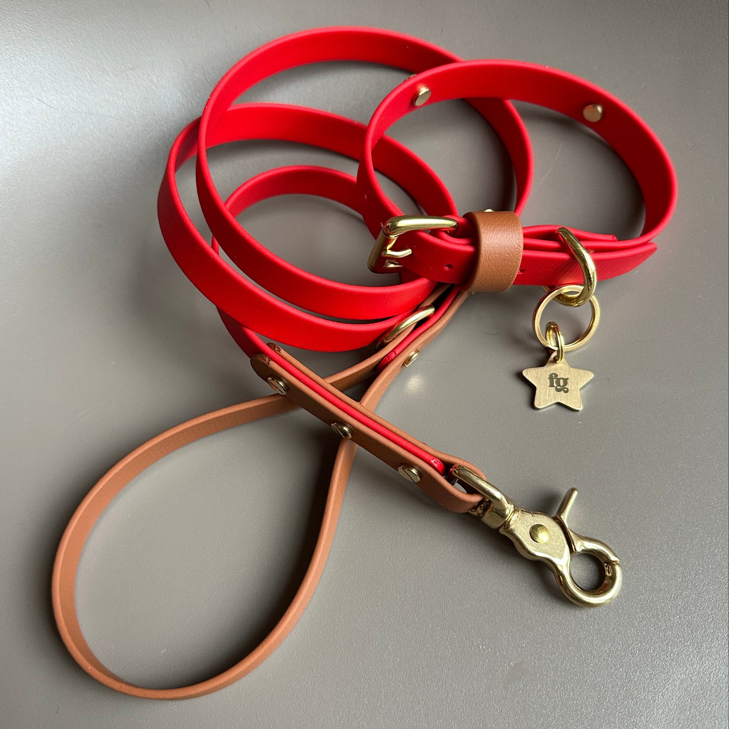 The Freddie Star Colourband BioThane® Collar
