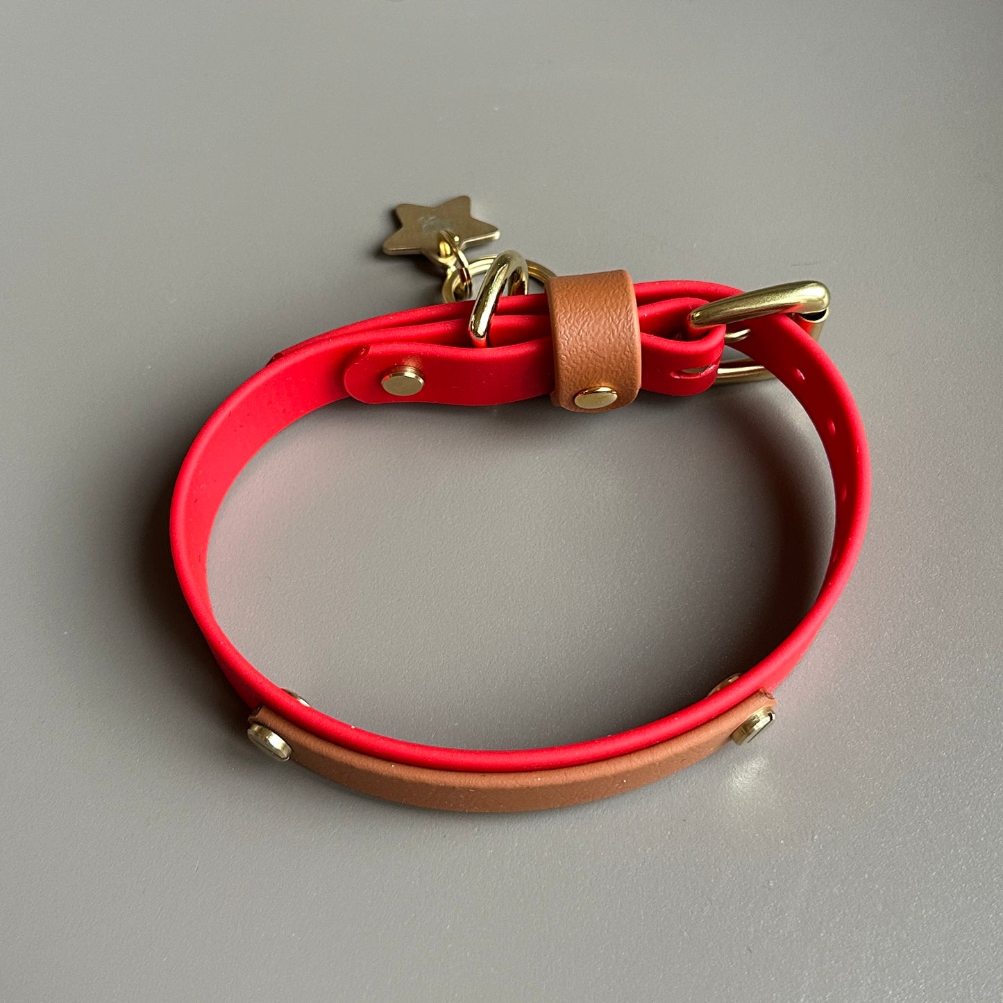 The Freddie Star Colourband BioThane® Collar