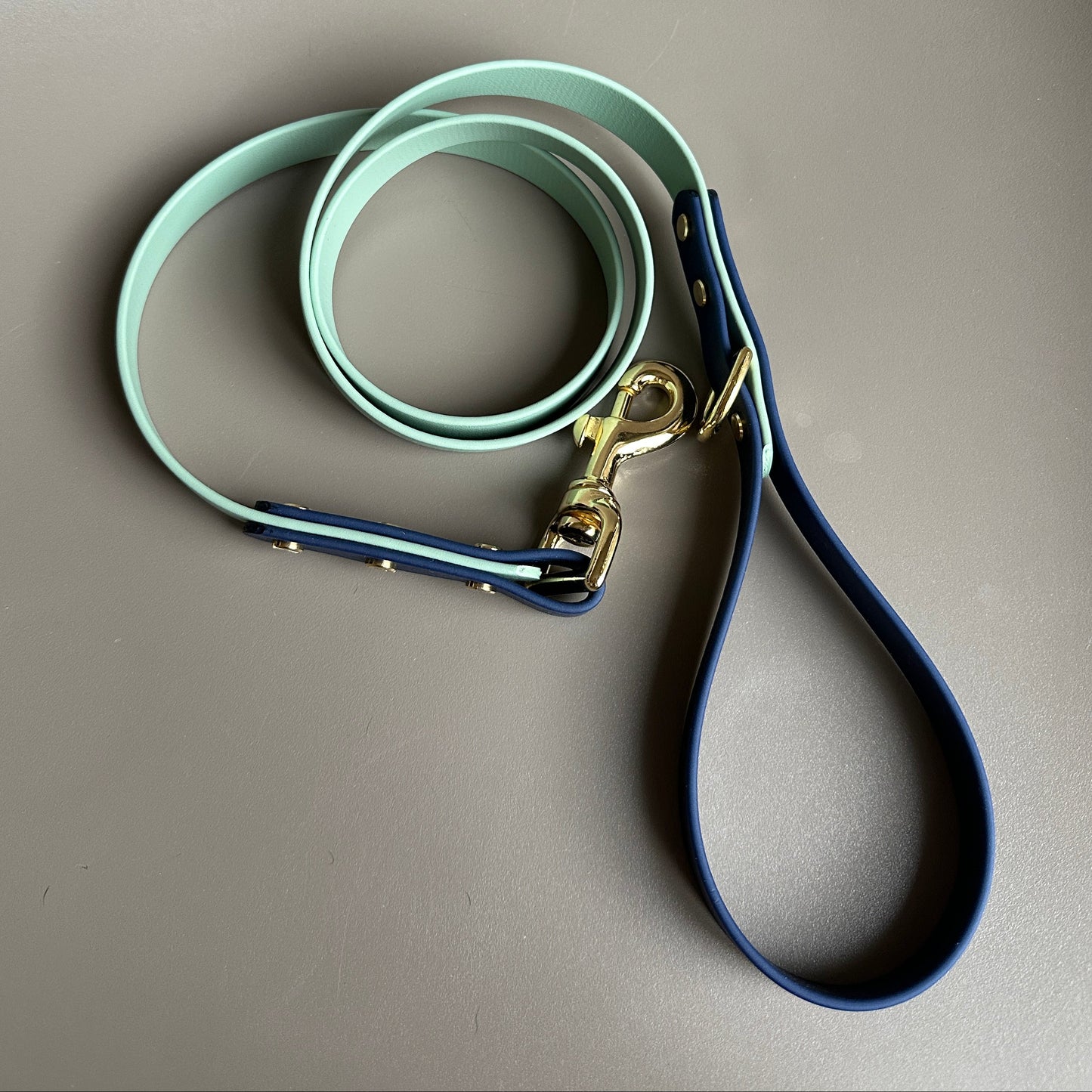 Baxter Colourblock BioThane® Lead