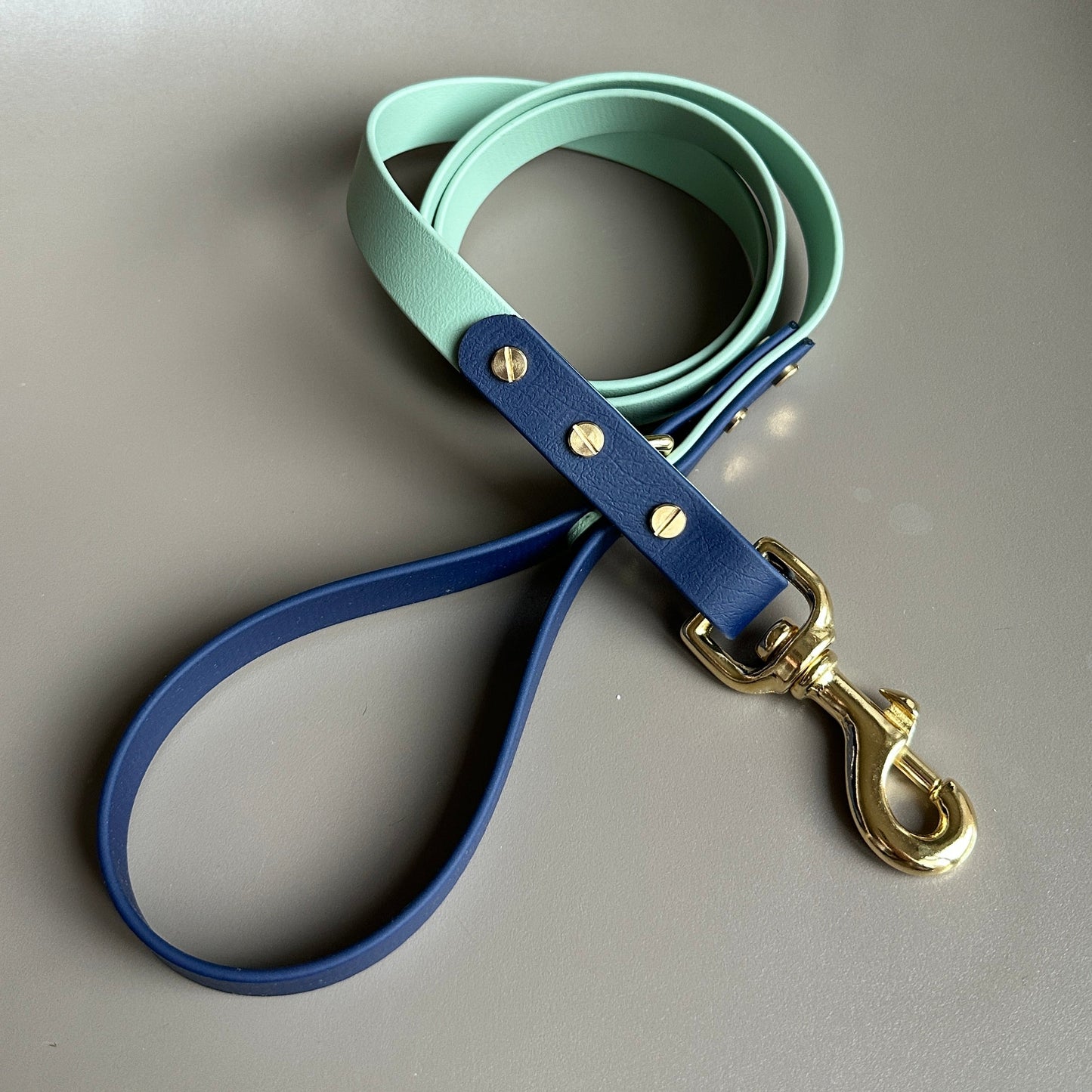 Baxter Colourblock BioThane® Lead