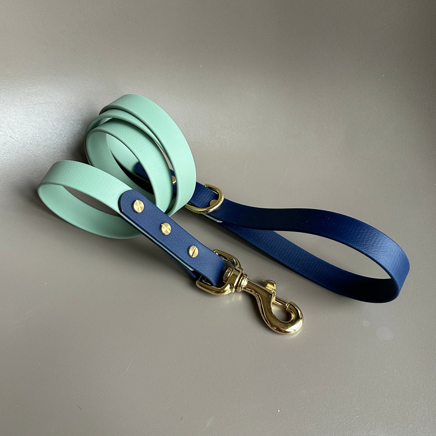 Baxter Colourblock BioThane® Lead