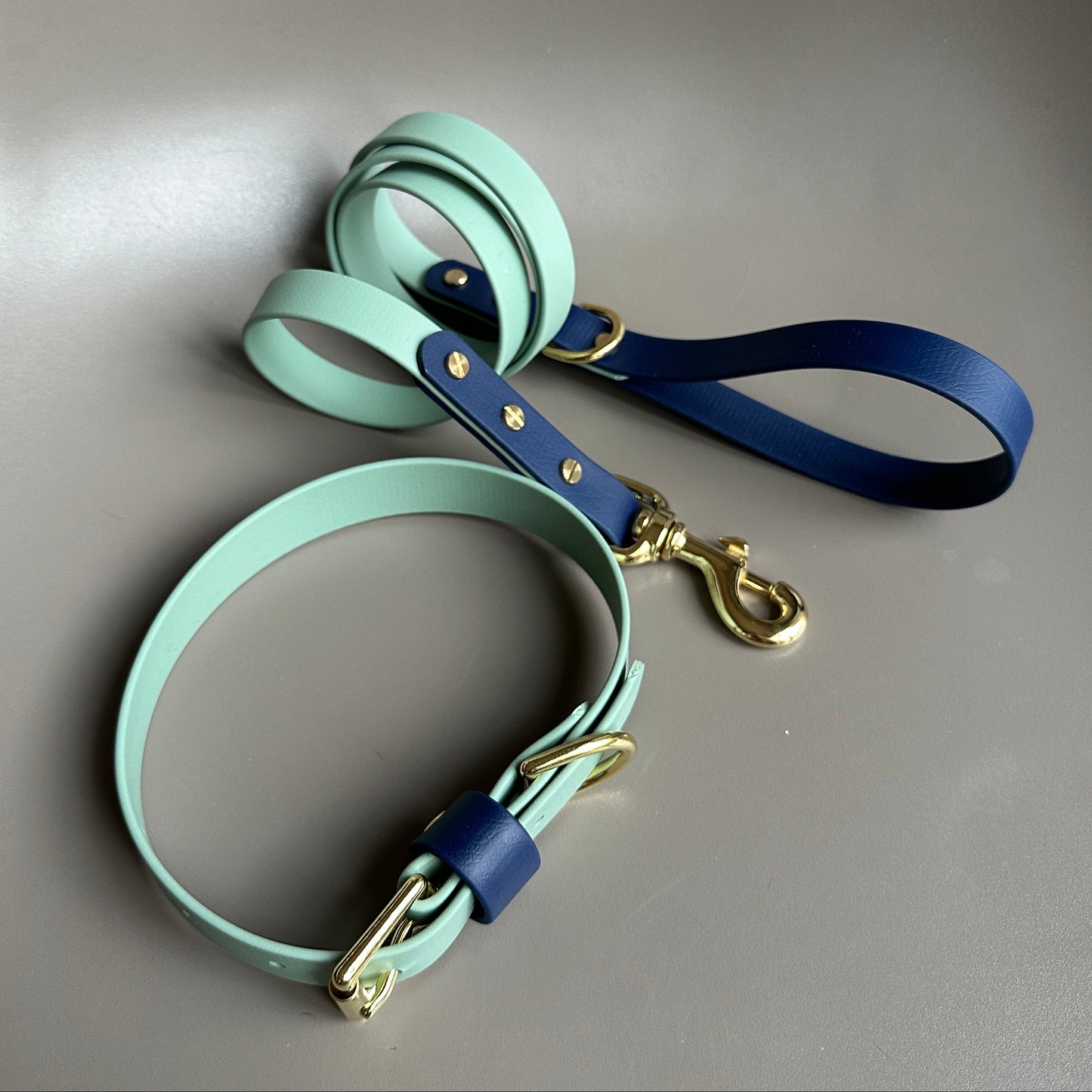 Baxter Colourblock BioThane® Collar