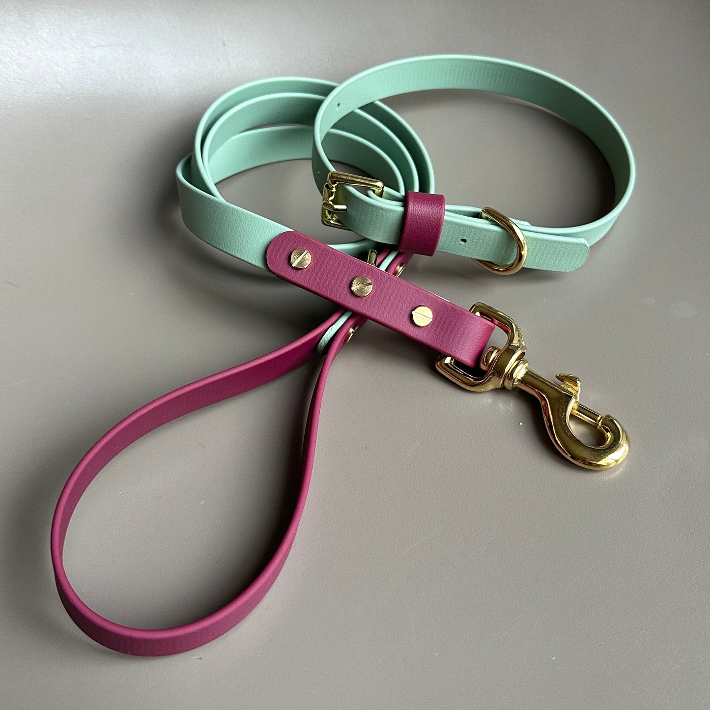 Nutmeg Colourblock BioThane® Collar
