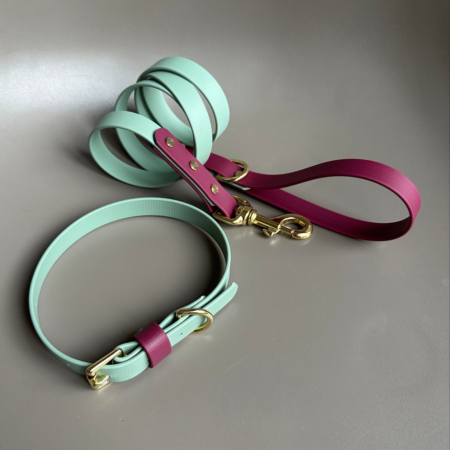 Nutmeg Colourblock BioThane® Collar