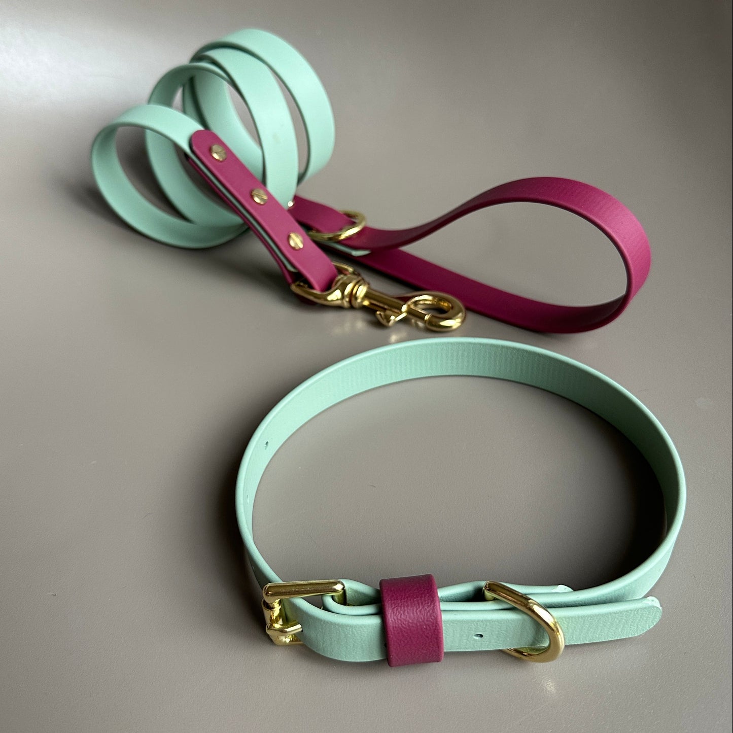 Nutmeg Colourblock BioThane® Collar