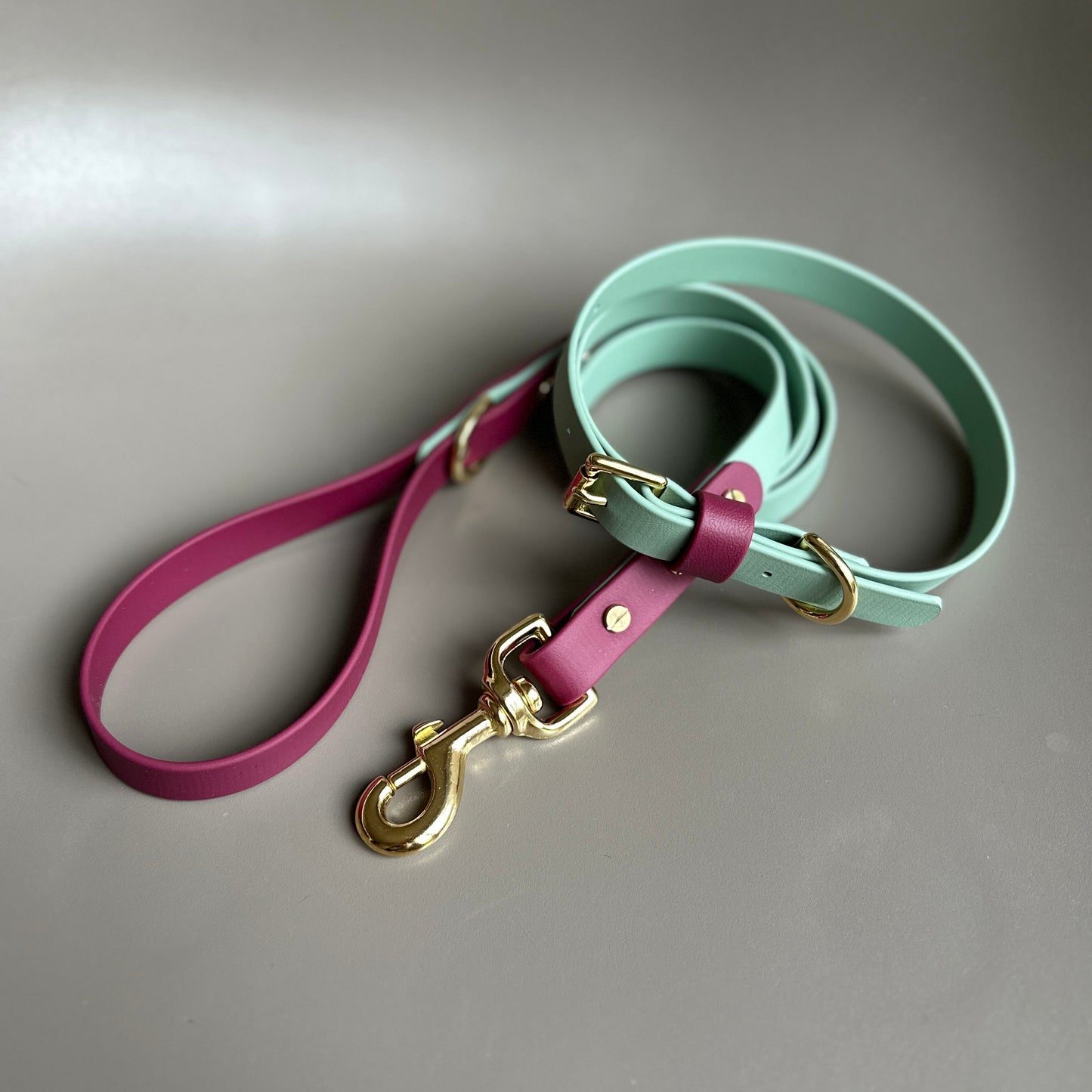 Nutmeg Colourblock BioThane® Collar