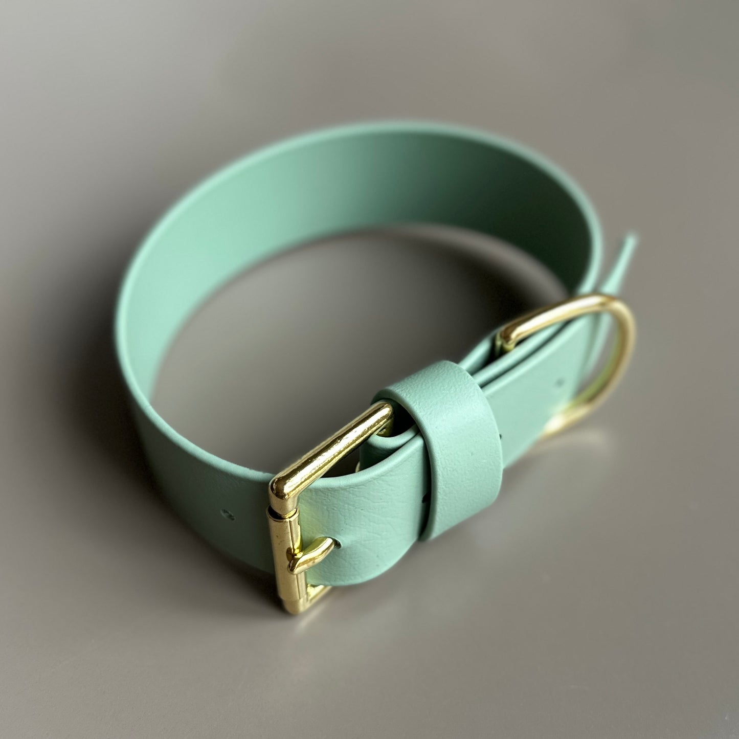 Wide 38mm BioThane® Collar