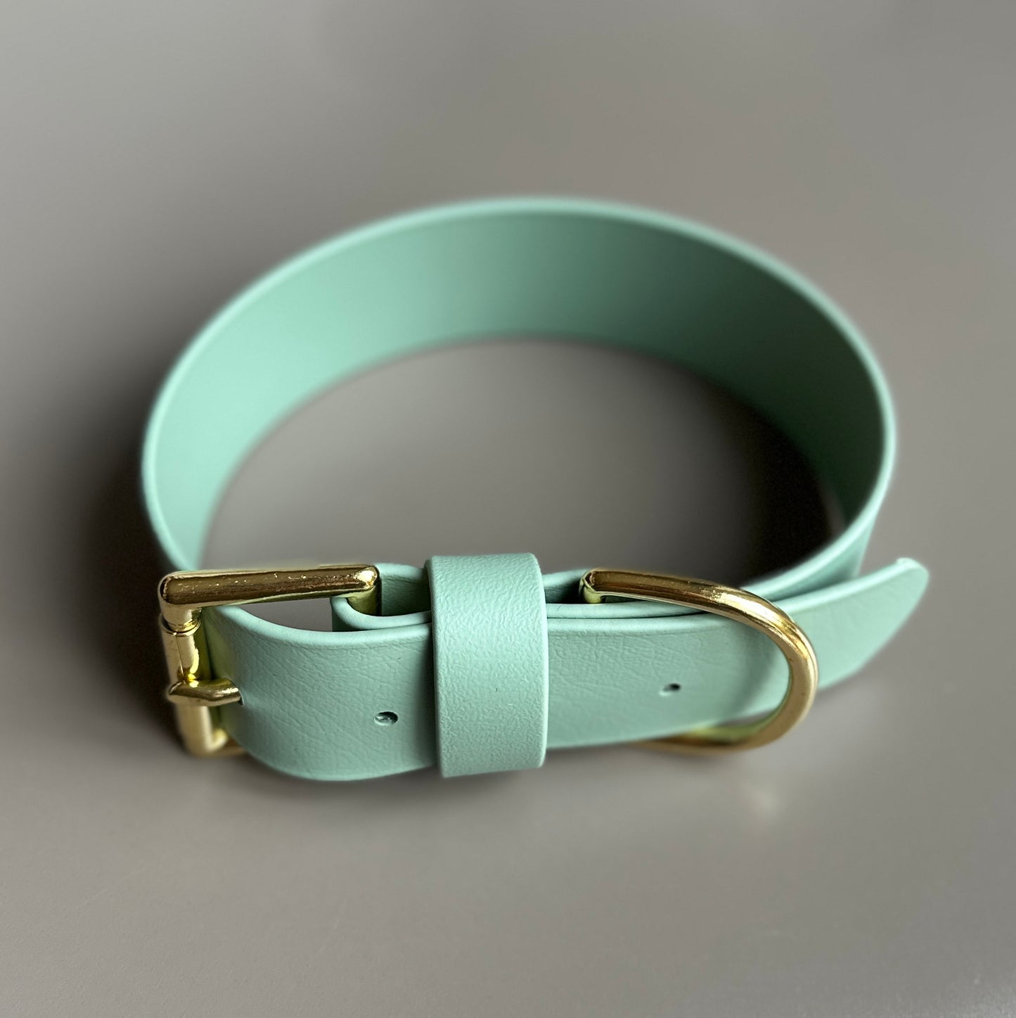 Wide 38mm BioThane® Collar
