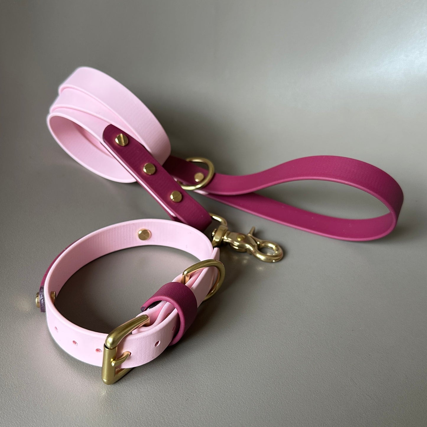 Mellie Berry Colourband BioThane® Collar
