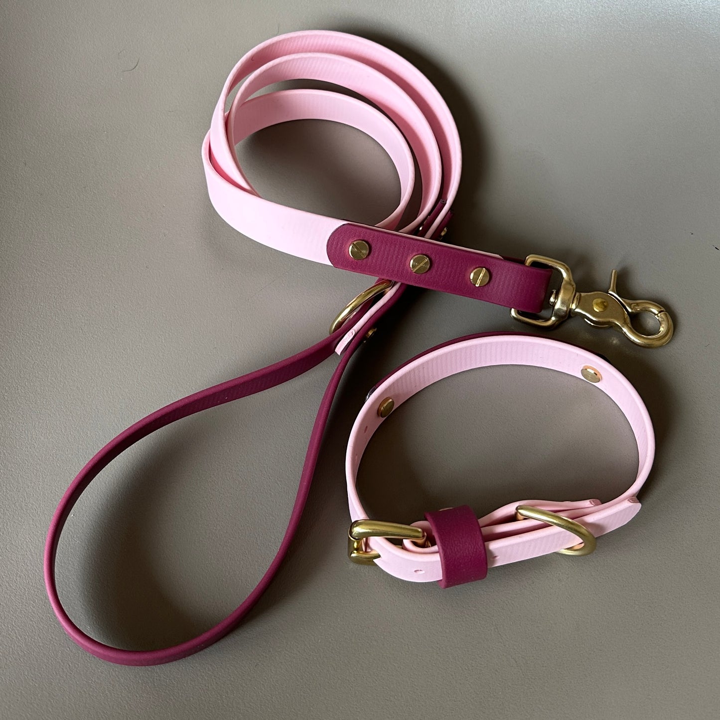 Mellie Berry Colourband BioThane® Collar