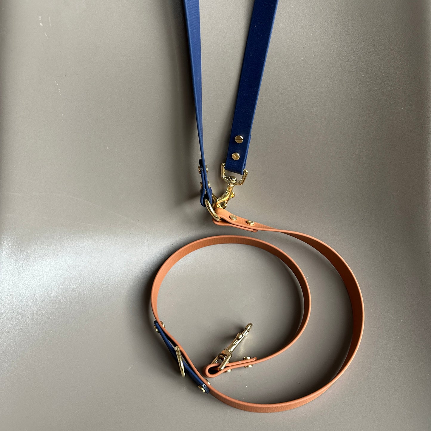 Buddy Crossbody Multiway BioThane® Lead