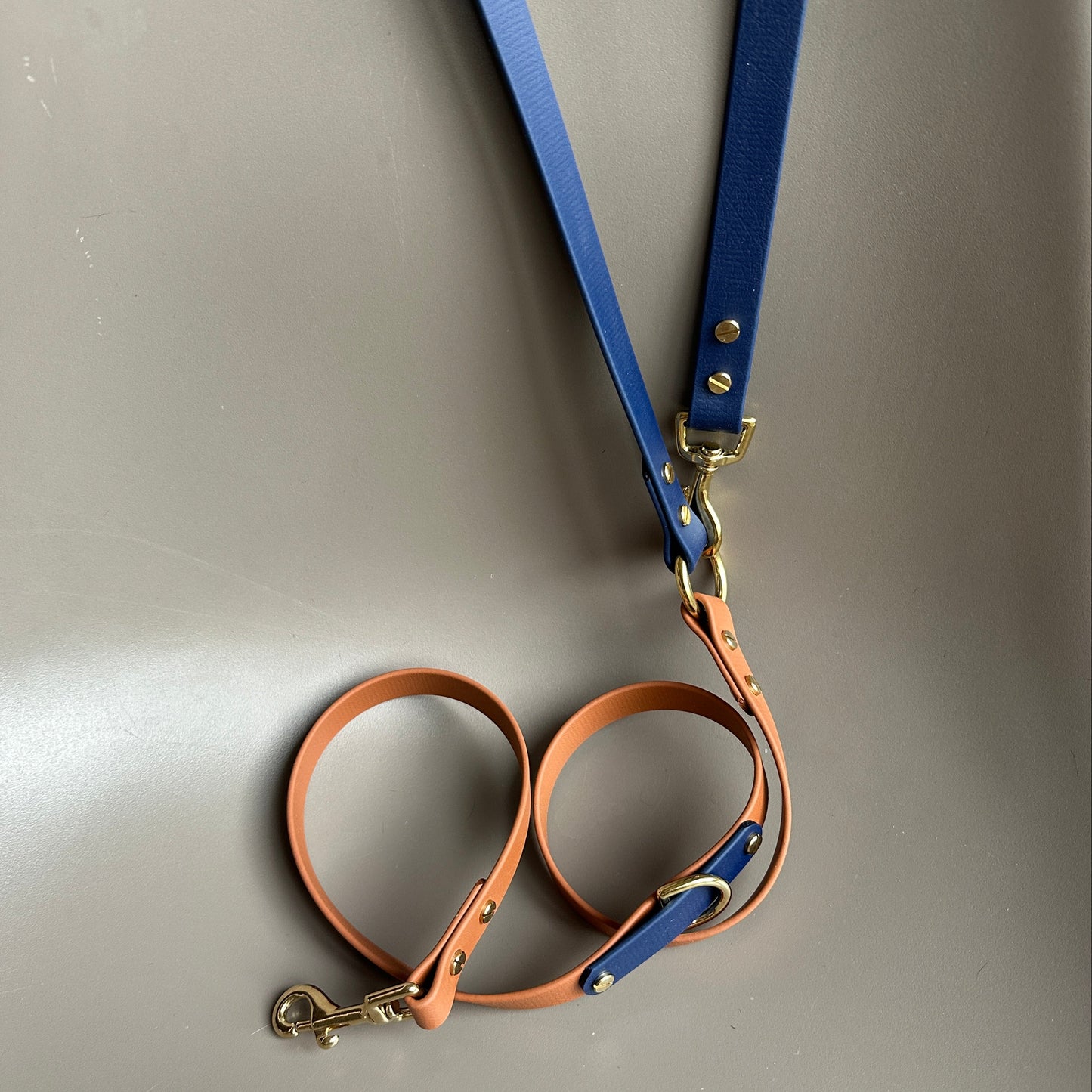 Buddy Crossbody Multiway BioThane® Lead