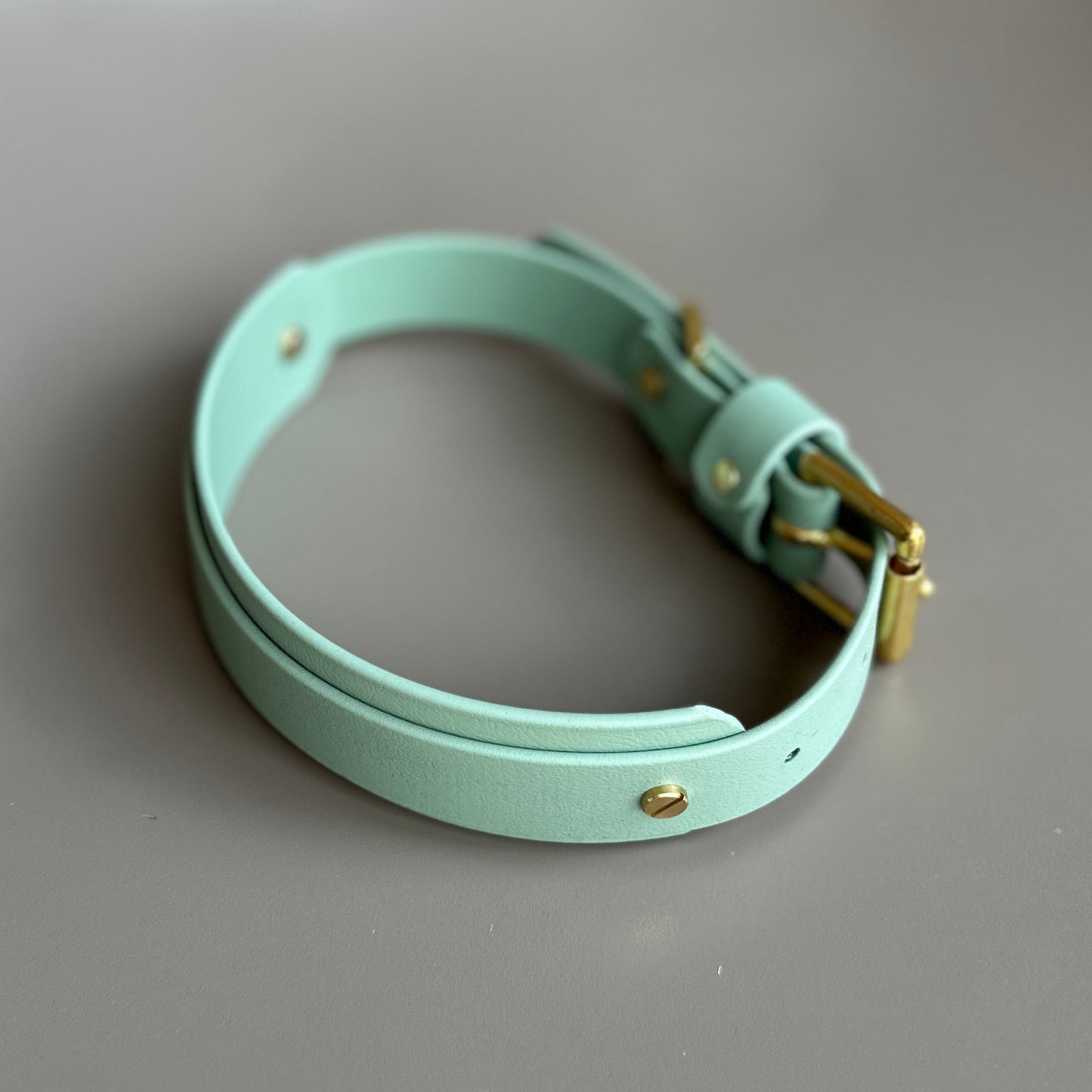 BioThane® Hound Style Collar
