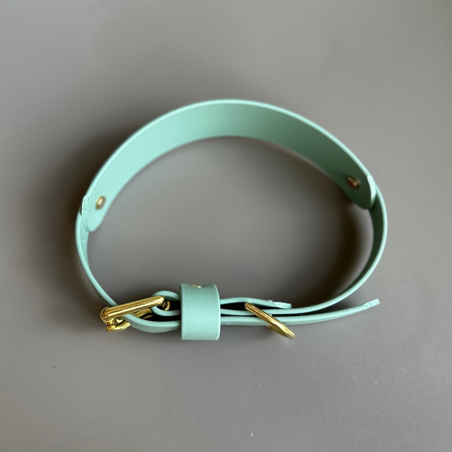 BioThane® Hound Style Collar