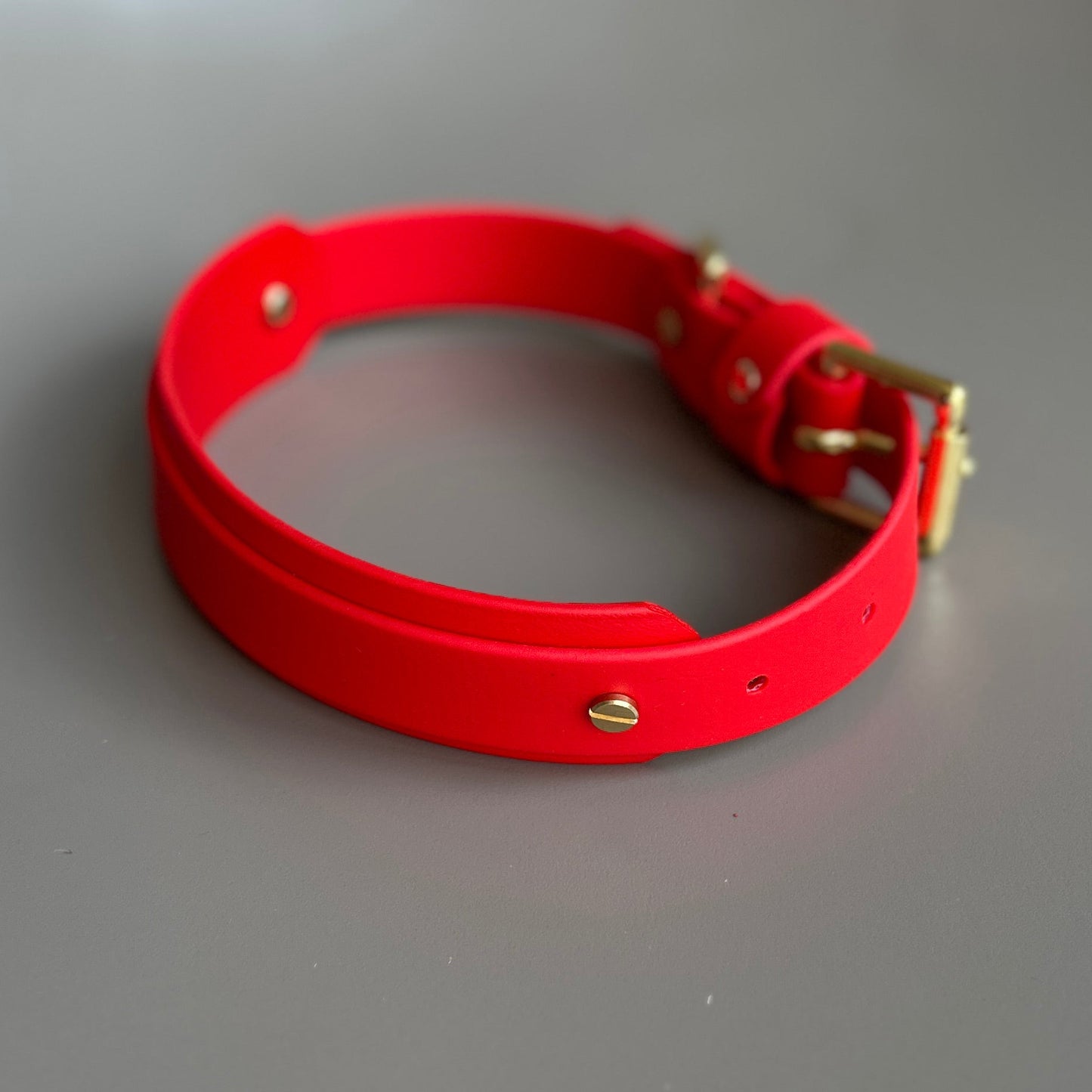 BioThane® Hound Style Collar