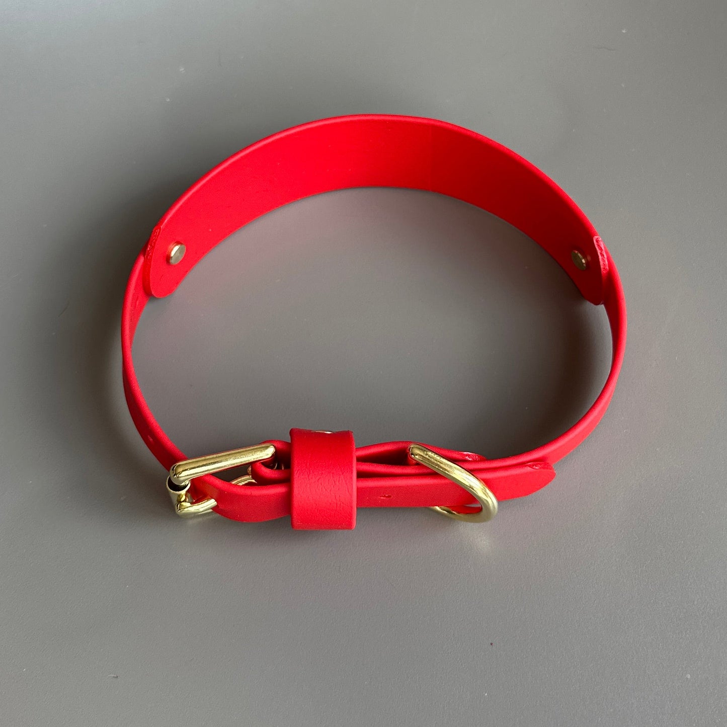 BioThane® Hound Style Collar