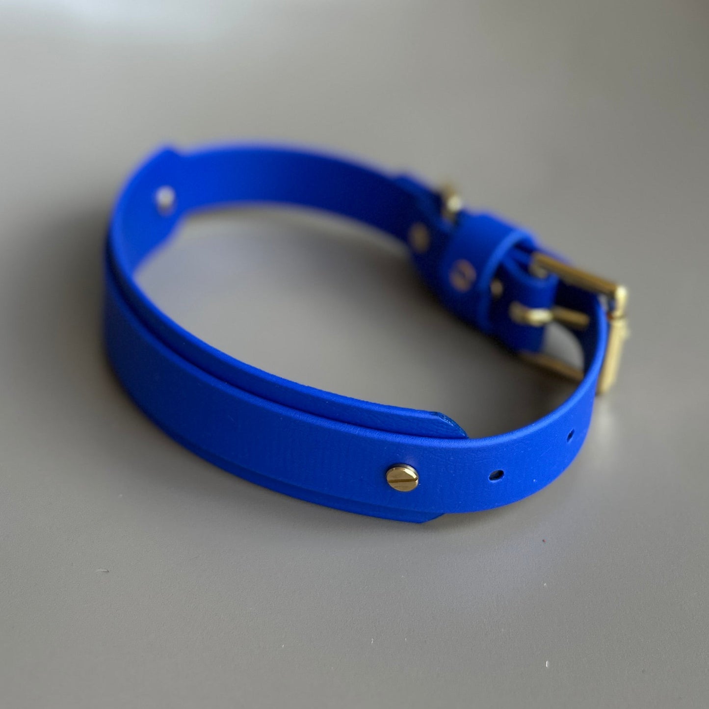 BioThane® Hound Style Collar